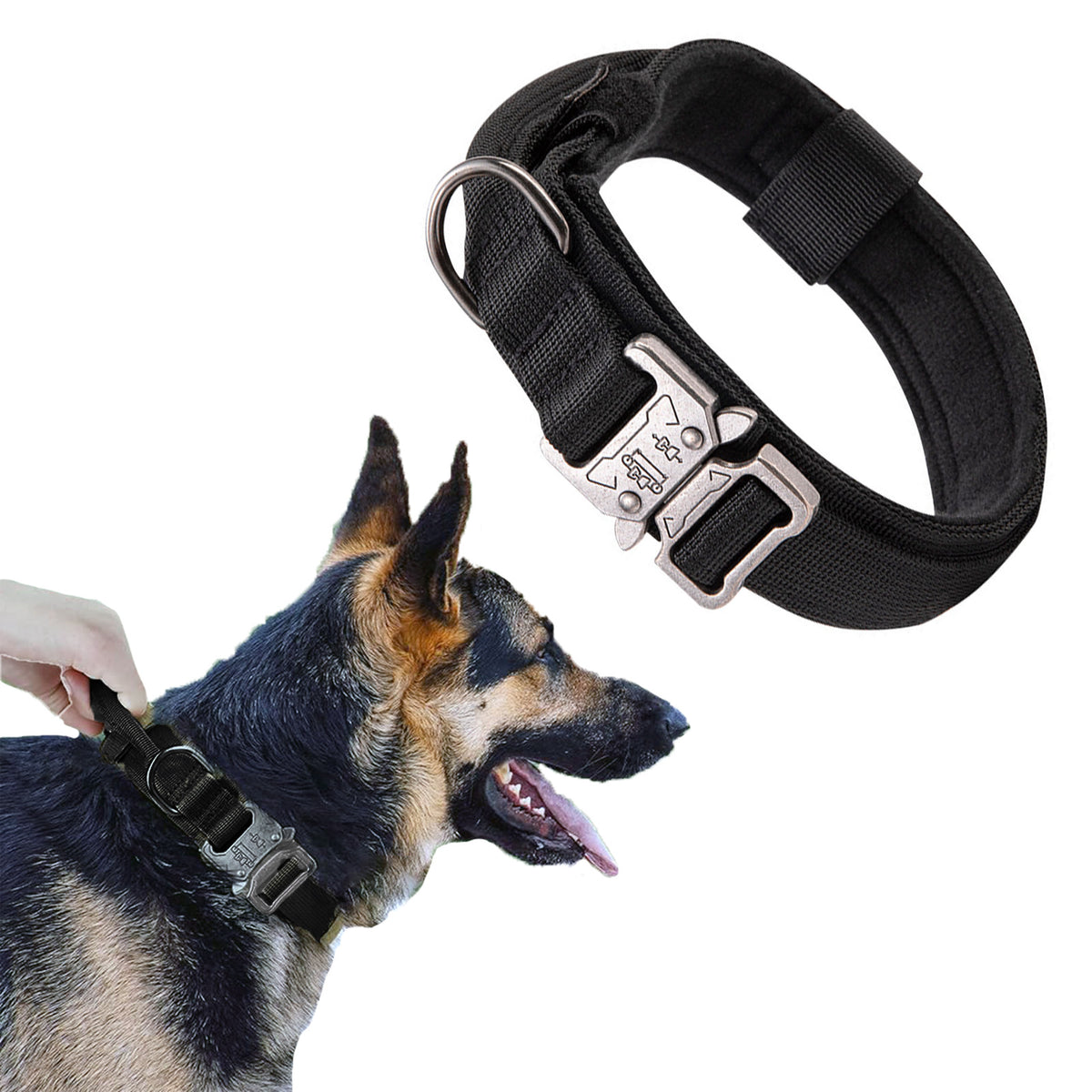 CTCMSP Pet Dog Collar Adjustable Training Nylon Dog Collar for Small Medium Large