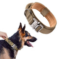 CTCMSP Pet Dog Collar Adjustable Training Nylon Dog Collar for Small Medium Large