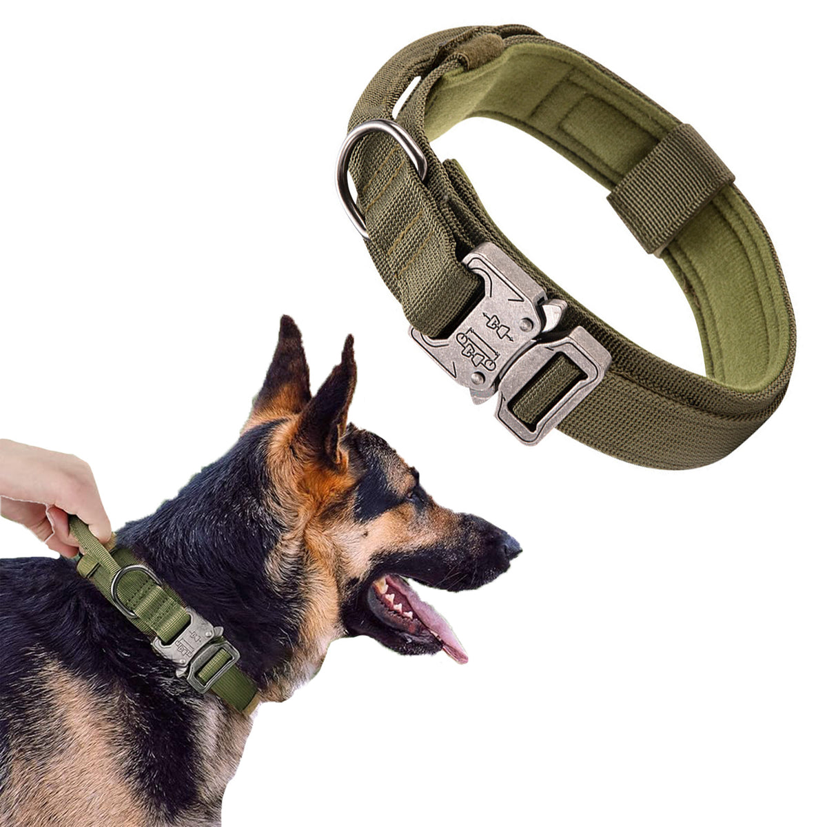 CTCMSP Pet Dog Collar Adjustable Training Nylon Dog Collar for Small Medium Large
